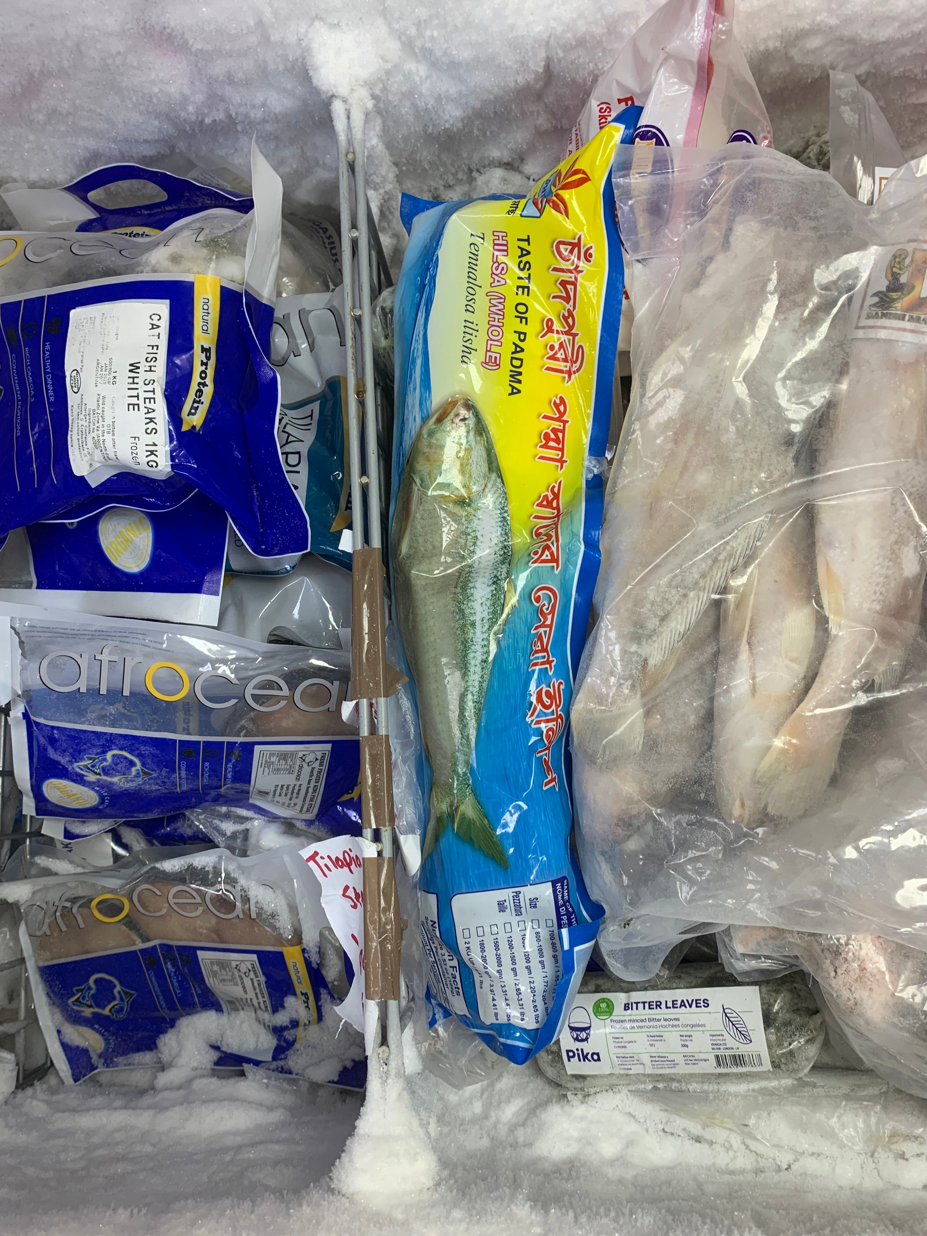 Frozen Fish