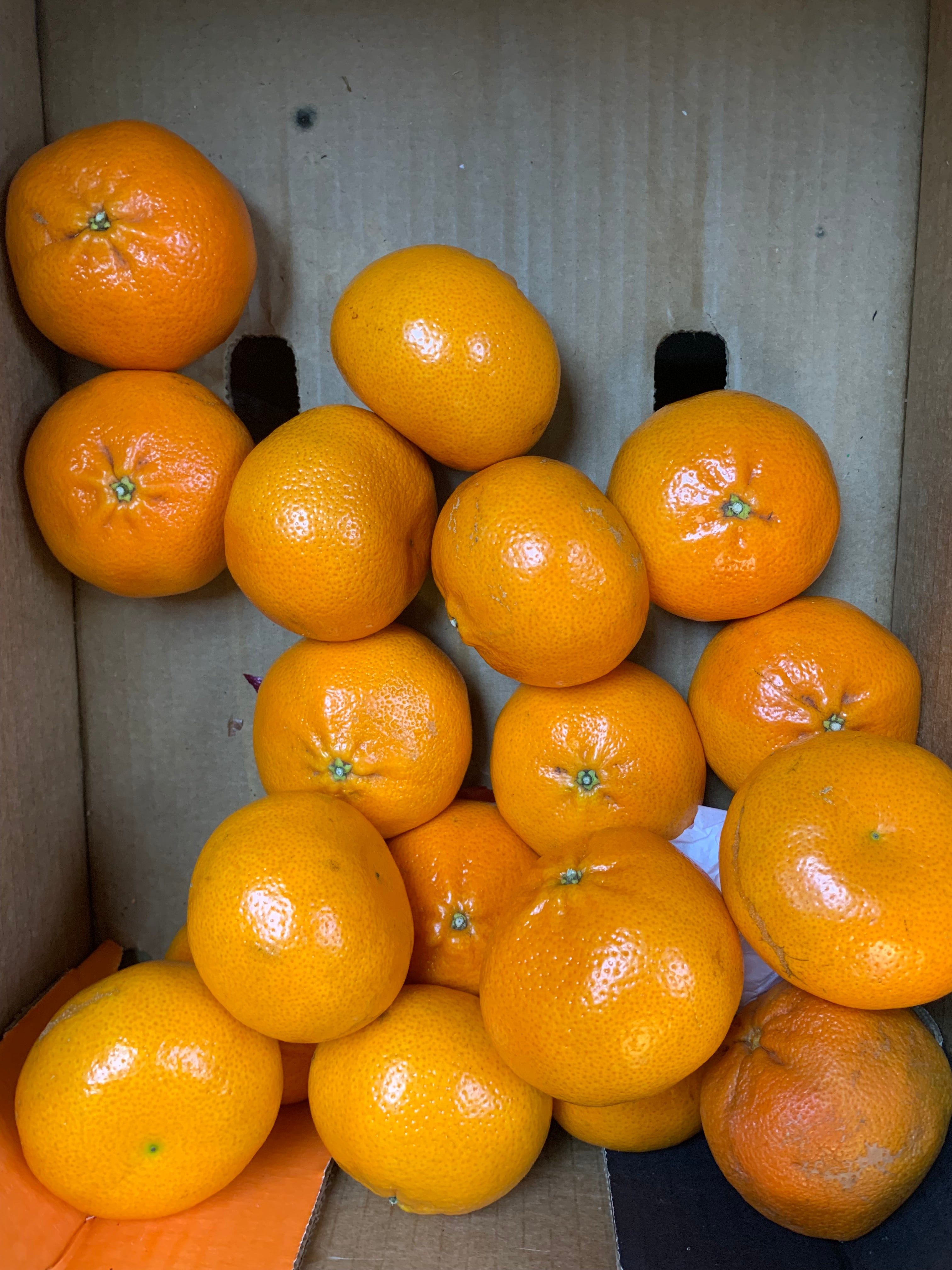 Easy Peel Orange Kinoo 800g