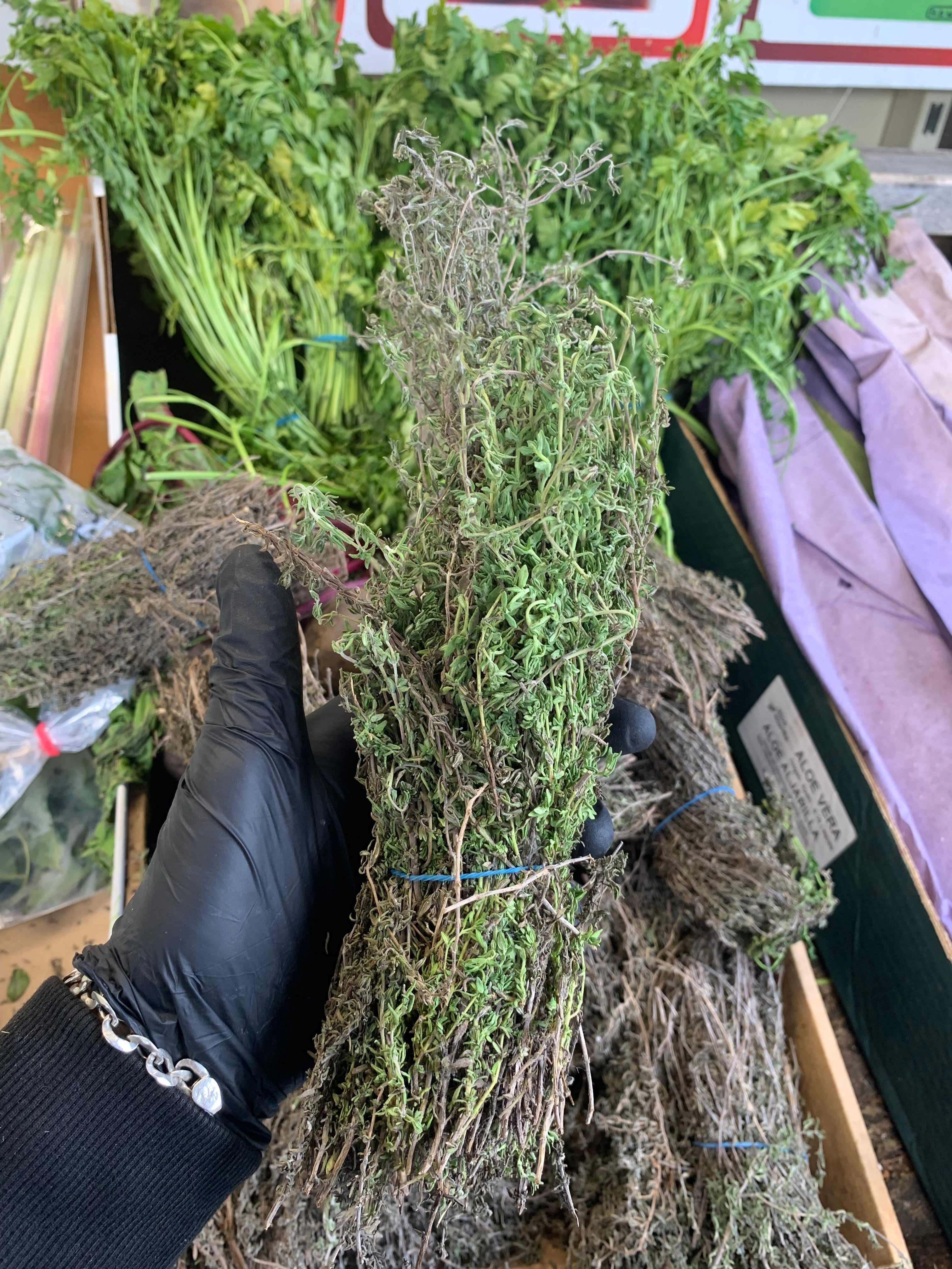 Thyme Fresh