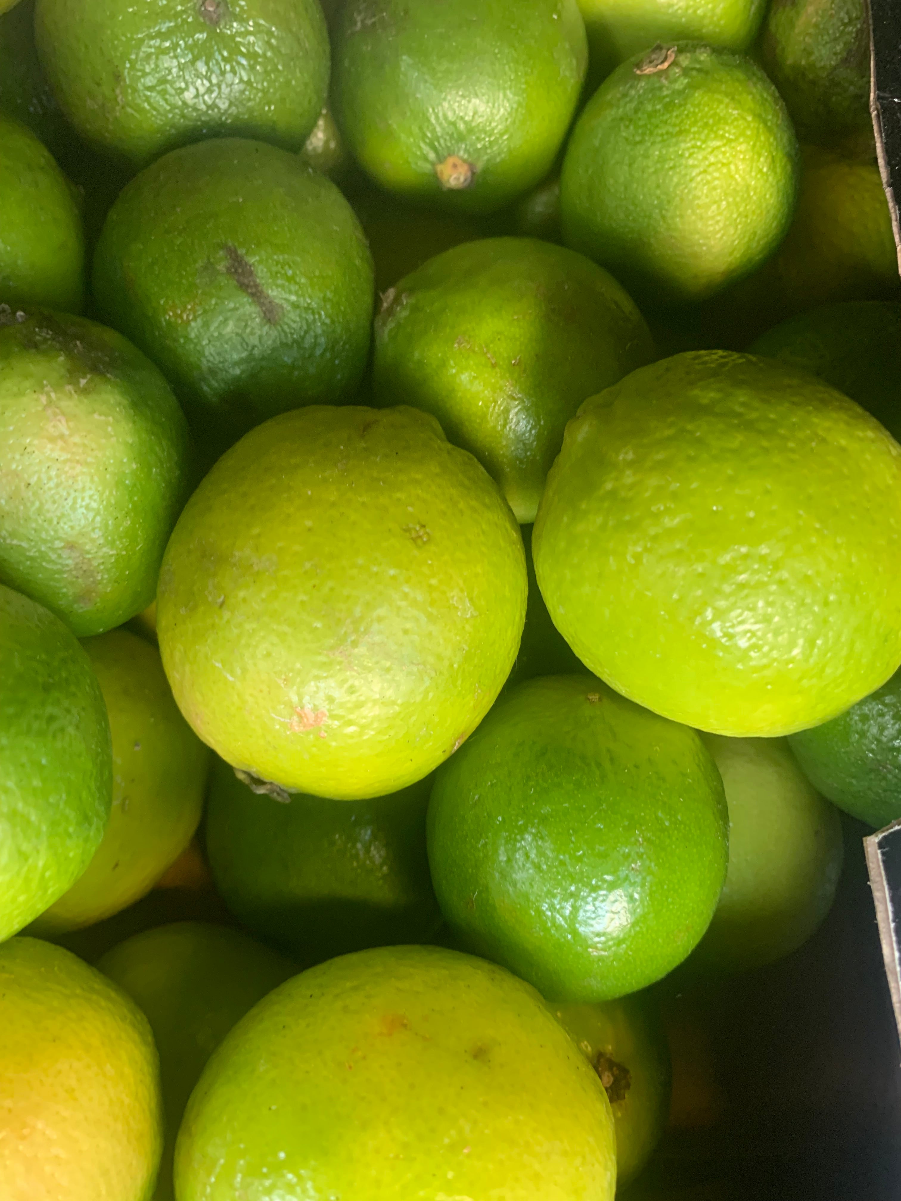 Limes