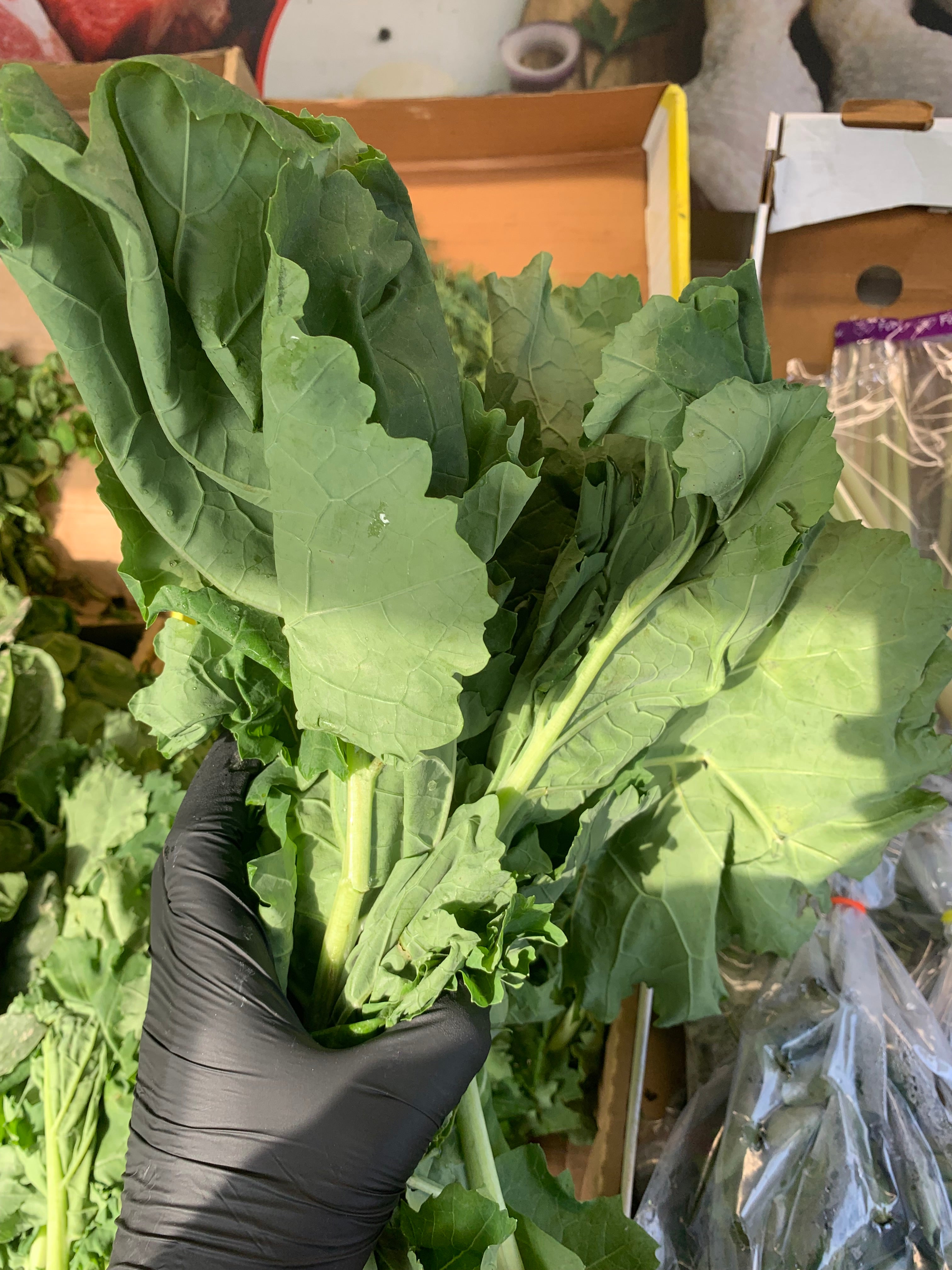 Saag Fresh