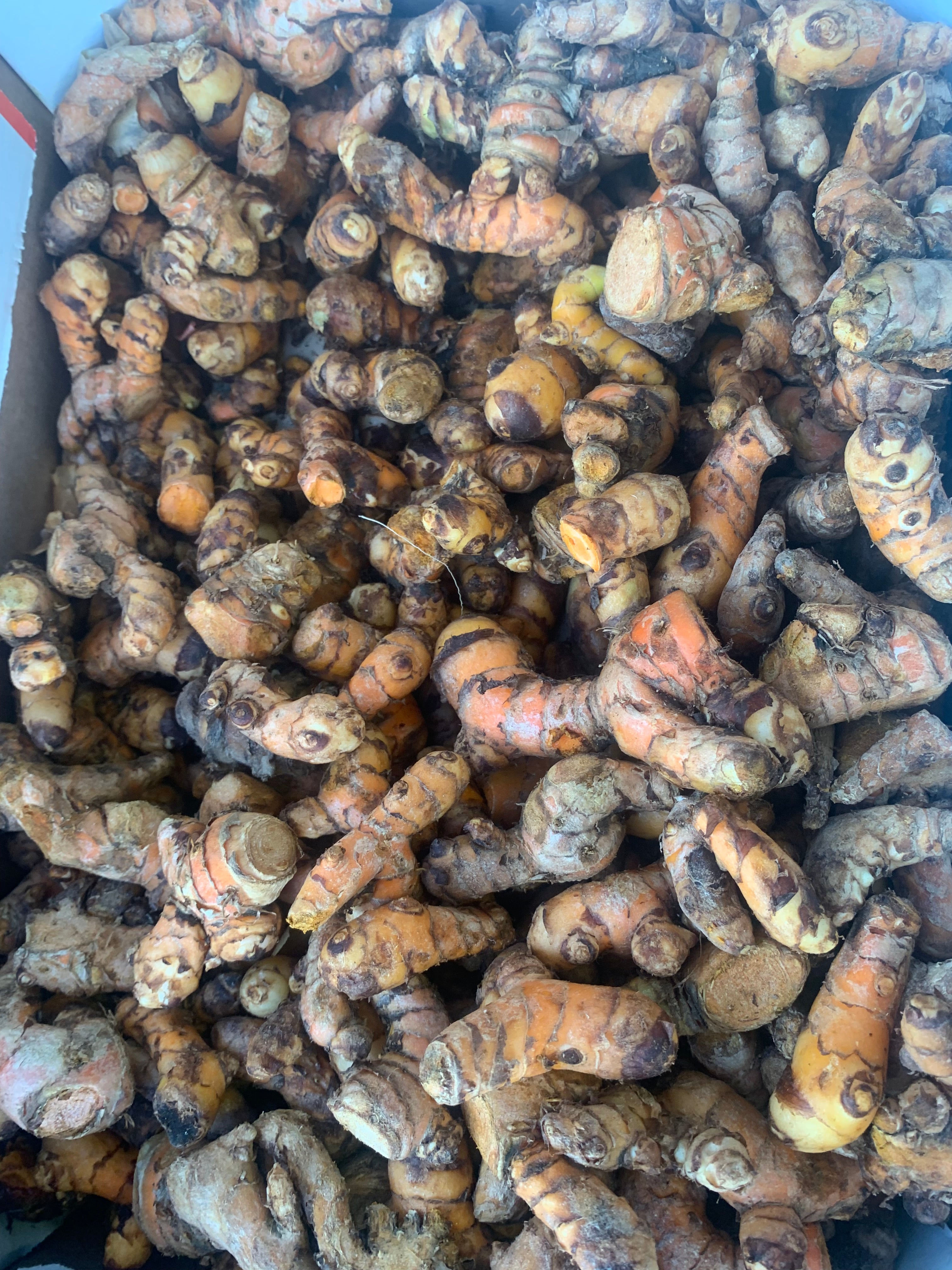 Turmeric / Haldi Fresh 200grams