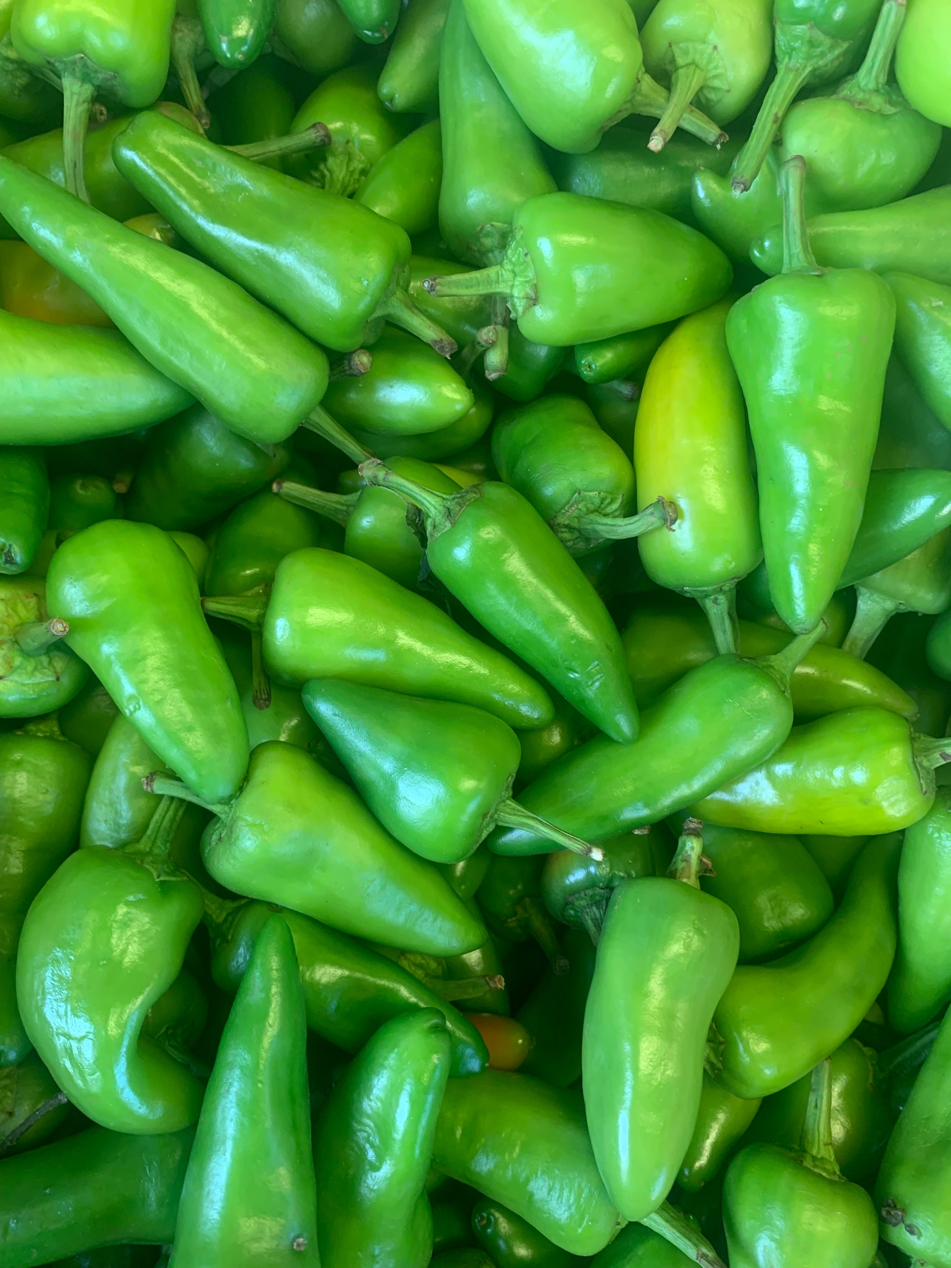 Bullet Chillies 225grams