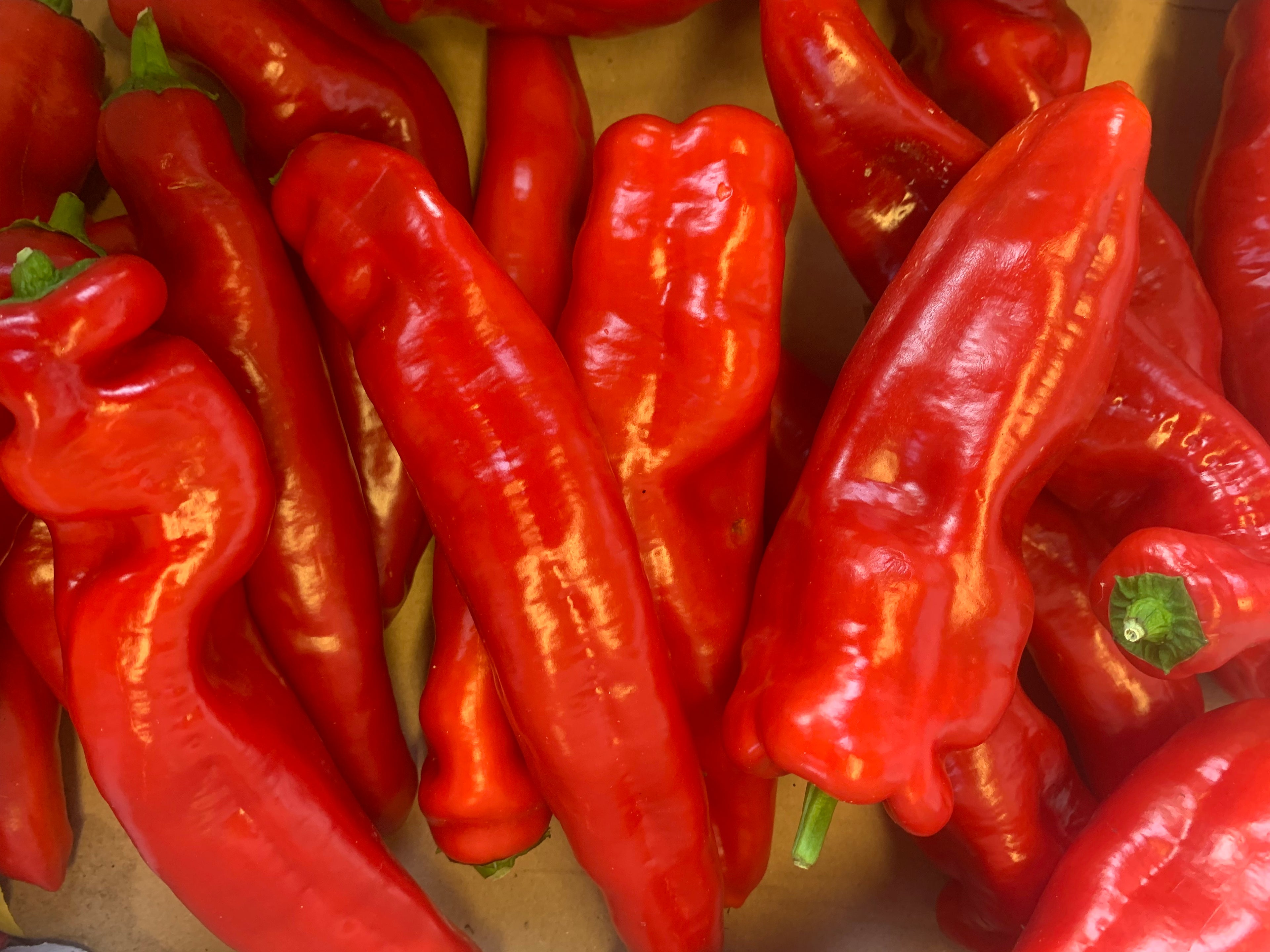 Red Fat Paprika 225g