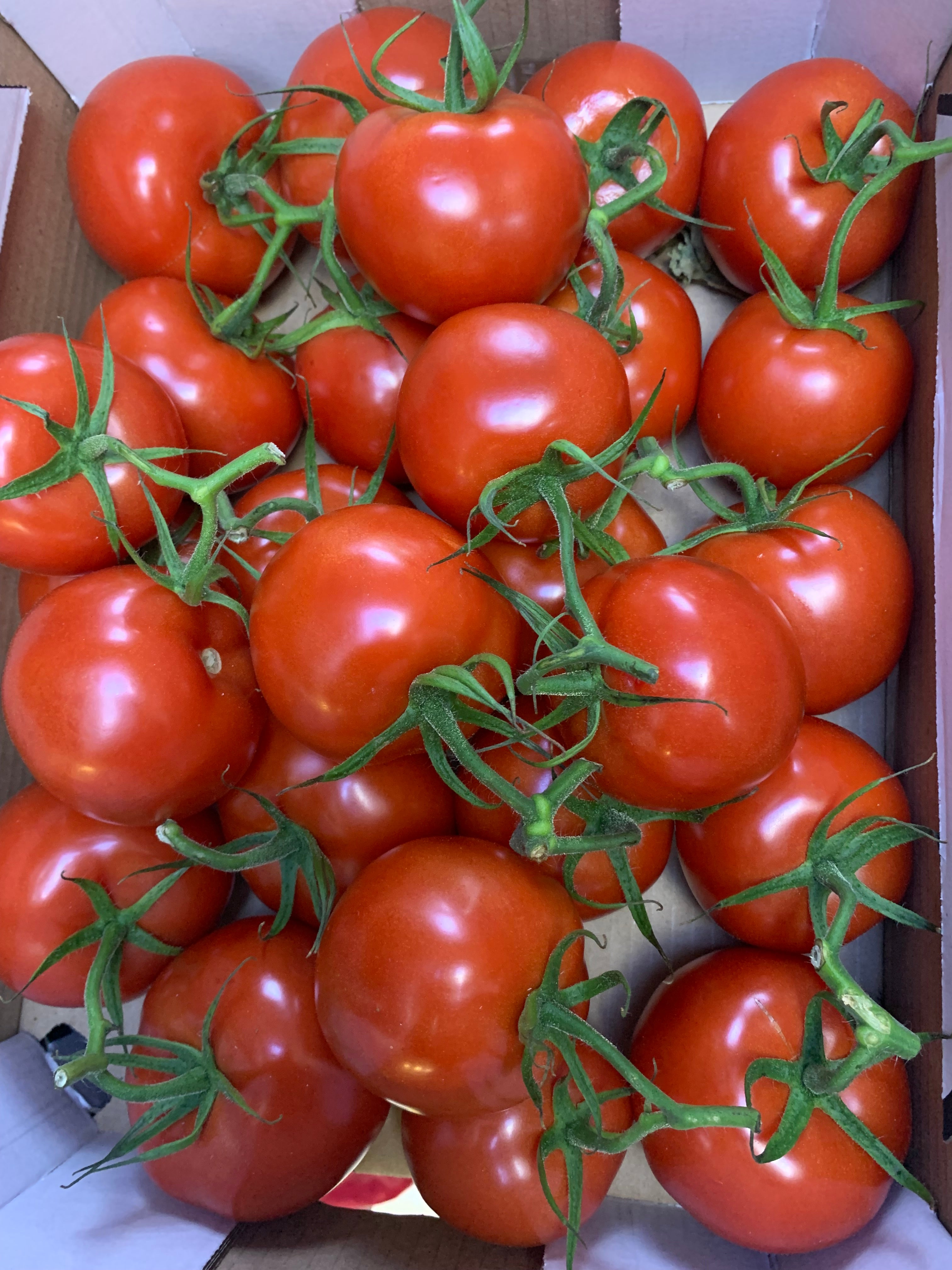 Tomatoes 500g