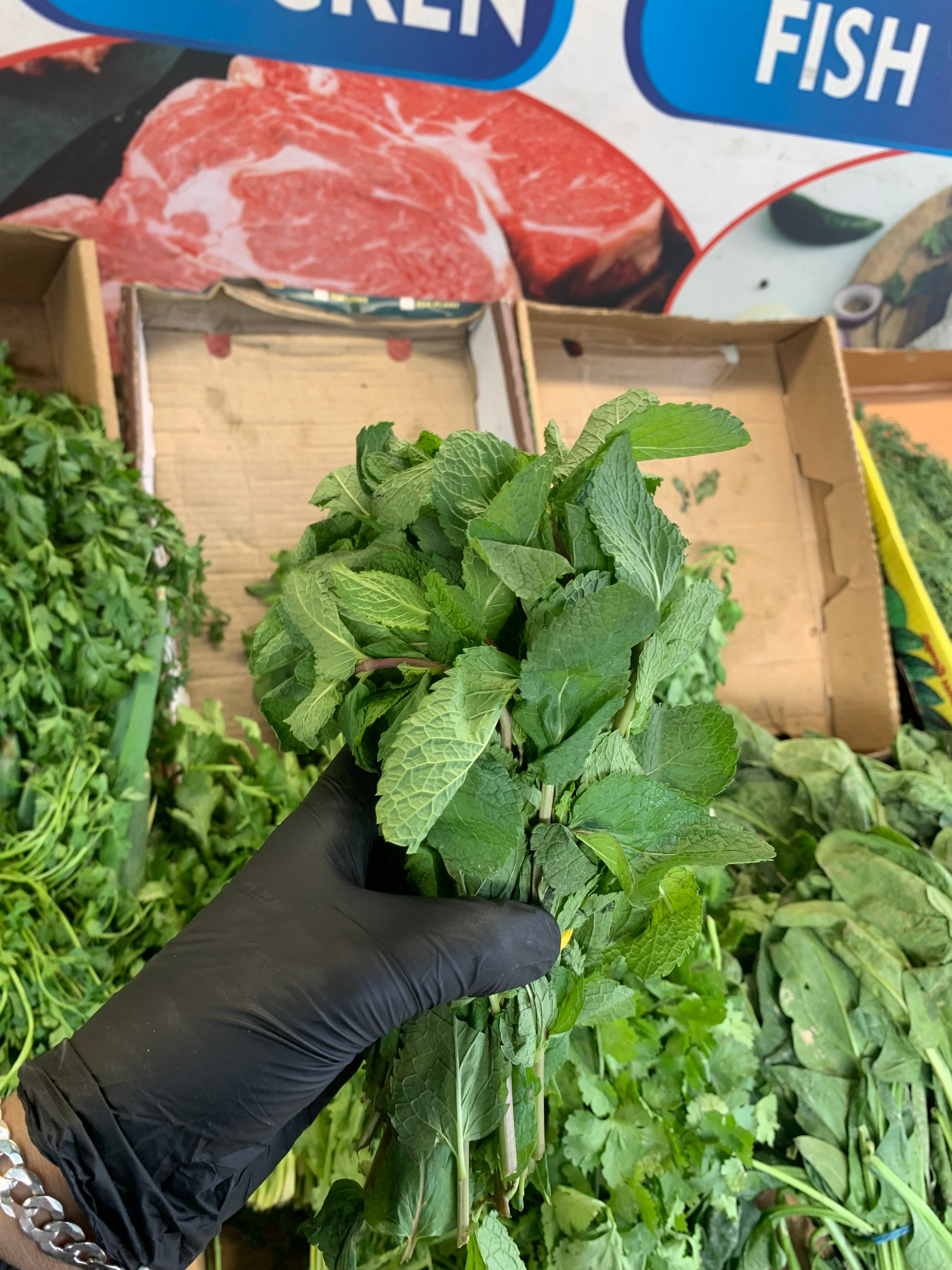 Mint Fresh