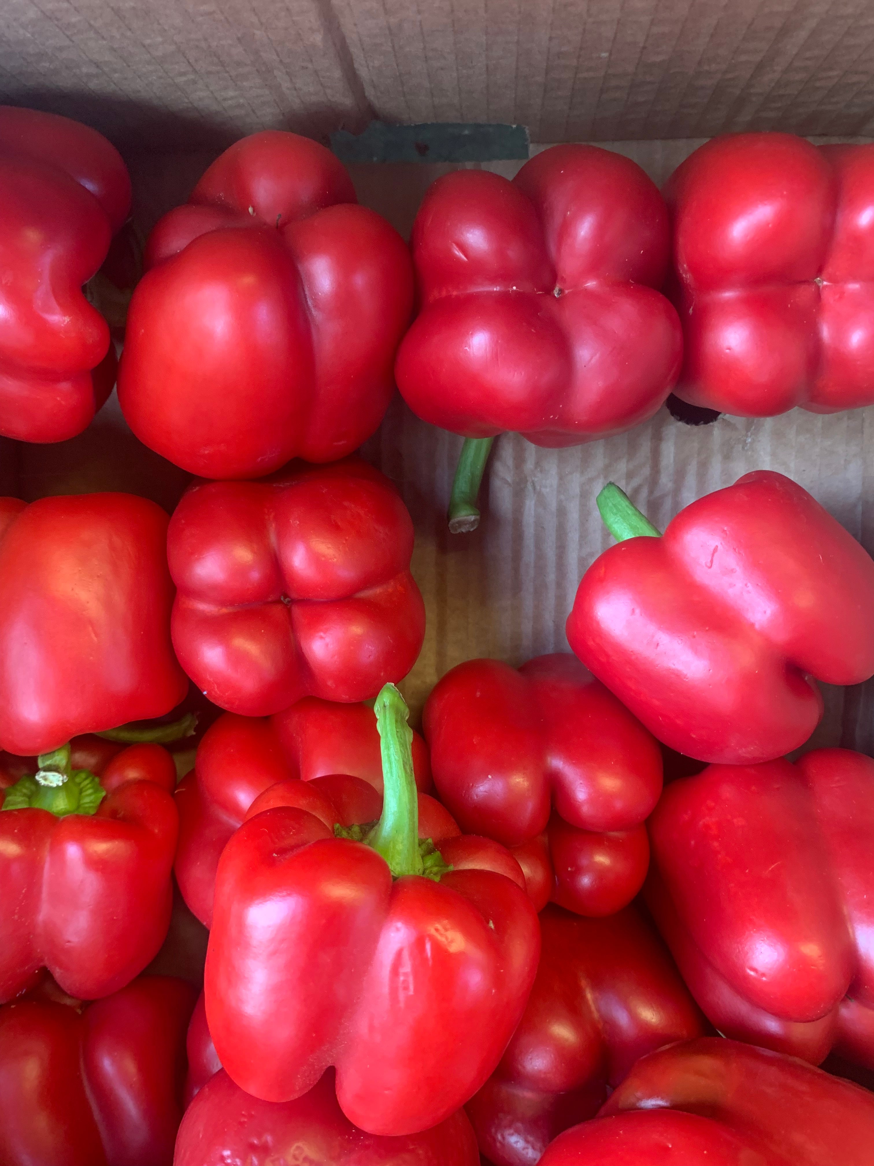 Red Bell Pepper