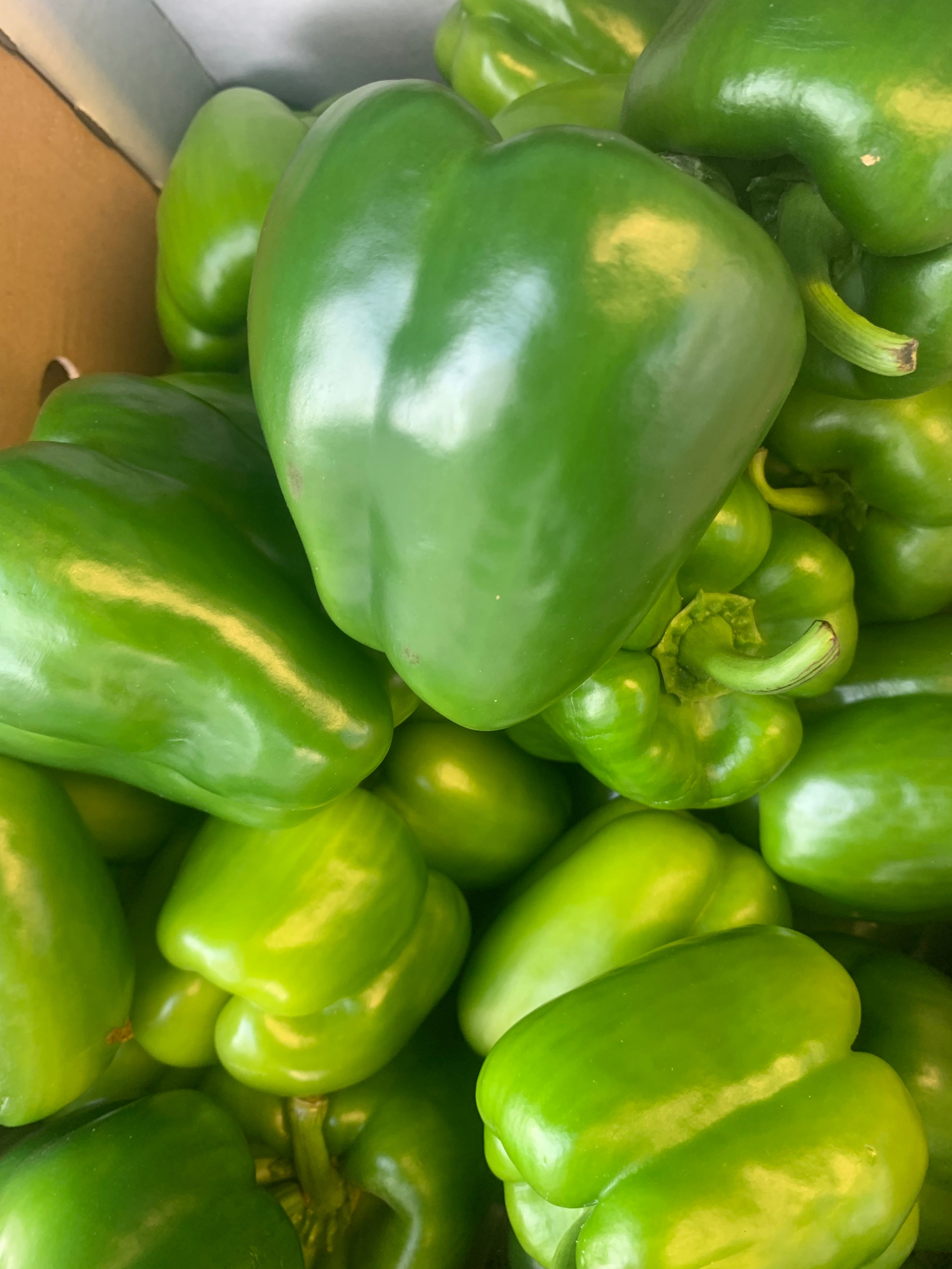 Green Bell Pepper