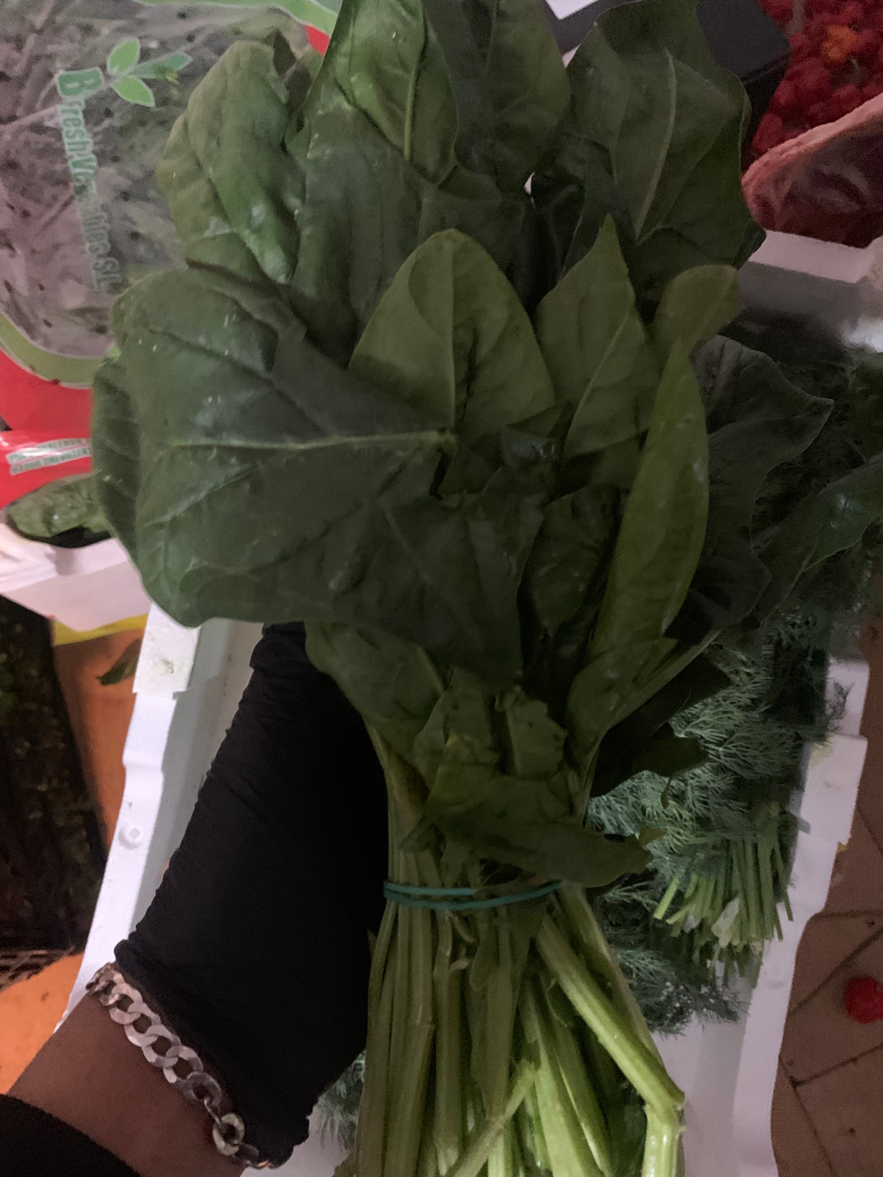 Spinach Fresh