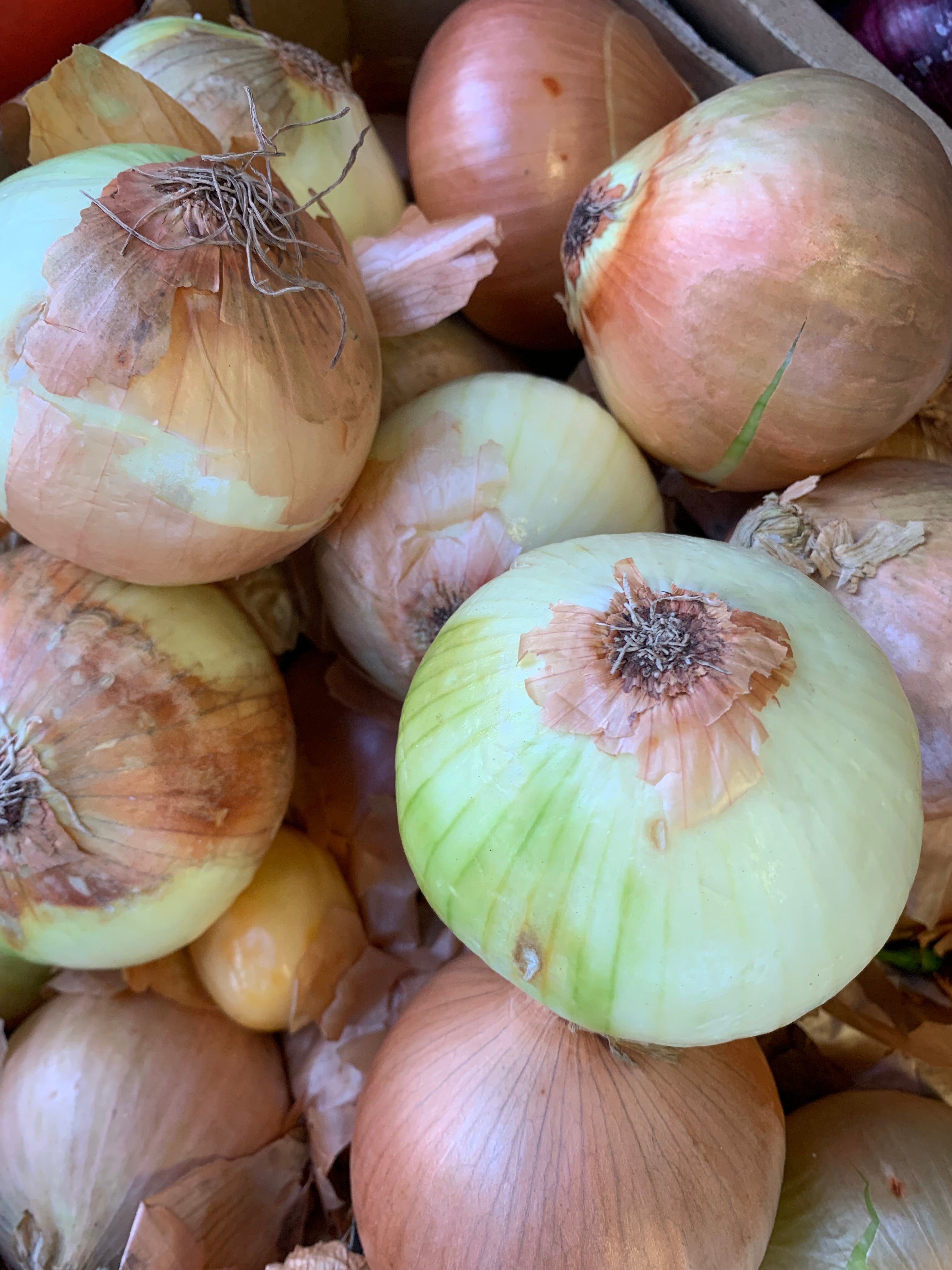 White Onions