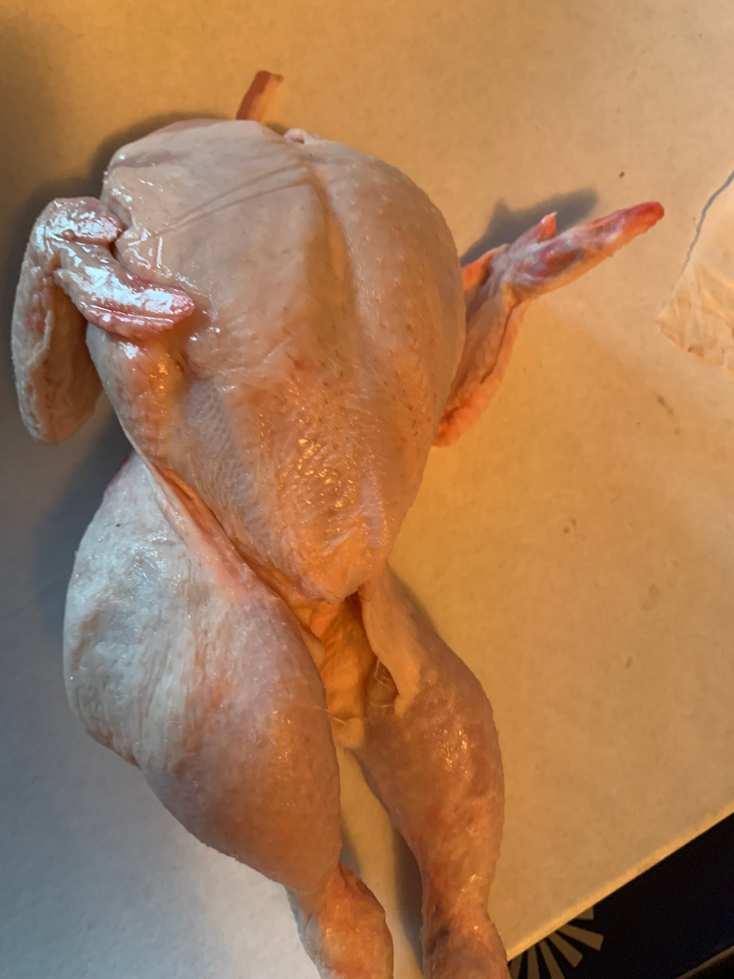 Medium Chicken