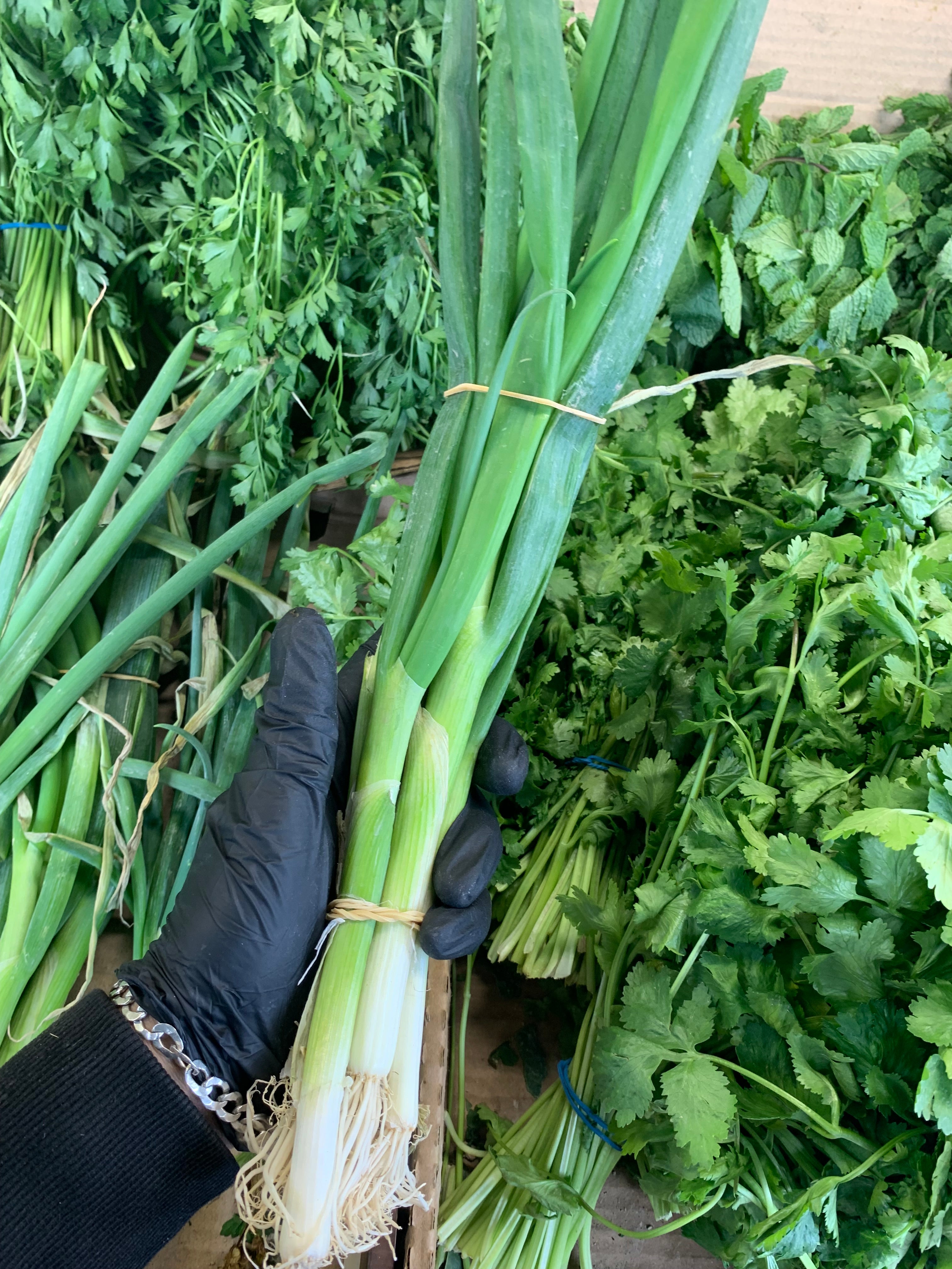 Spring Onions