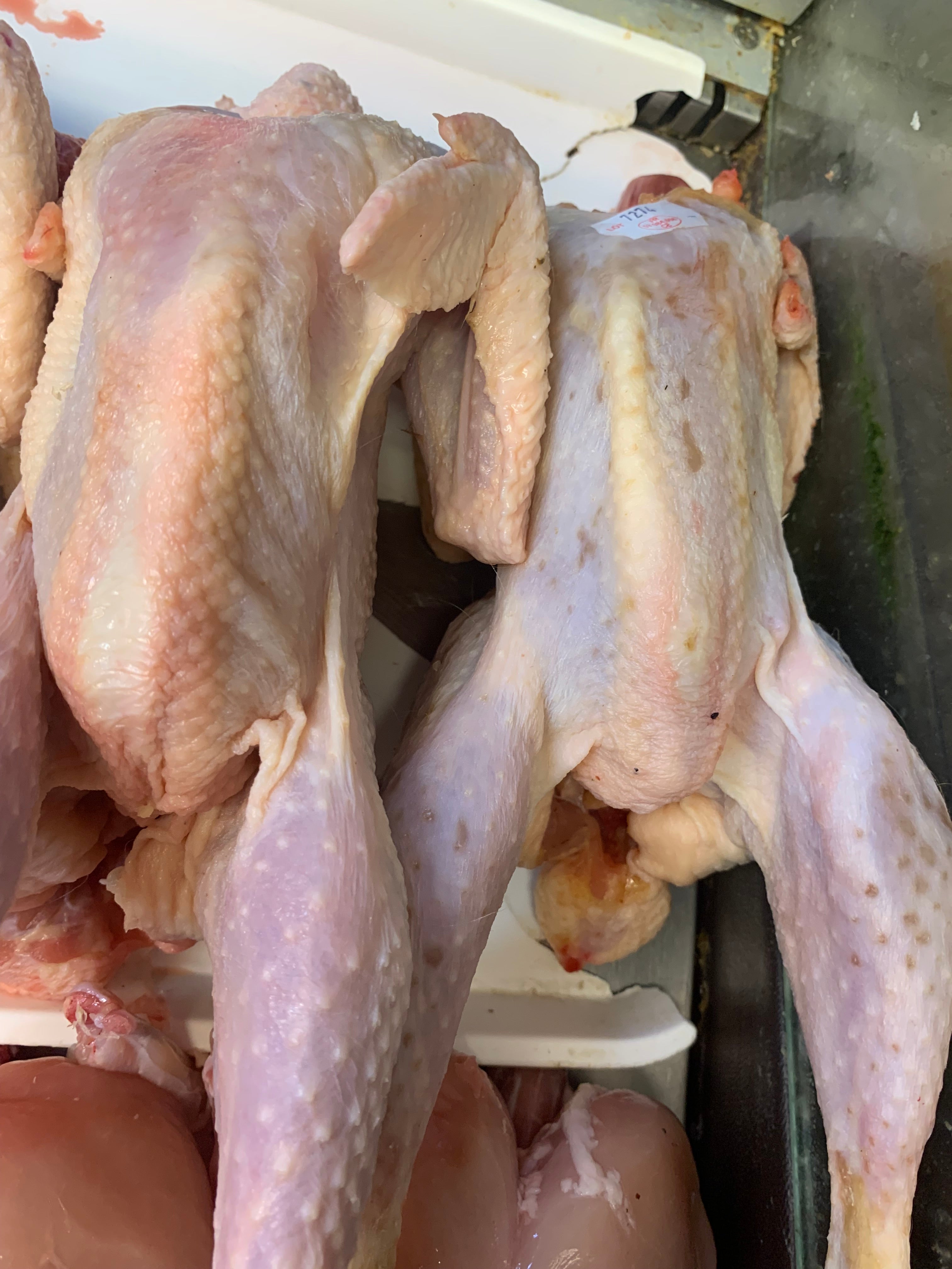 Hard Chicken / Hen